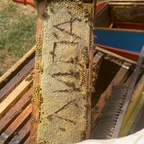 Мед Липа 750г